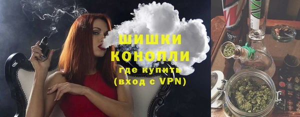 стаф Кодинск