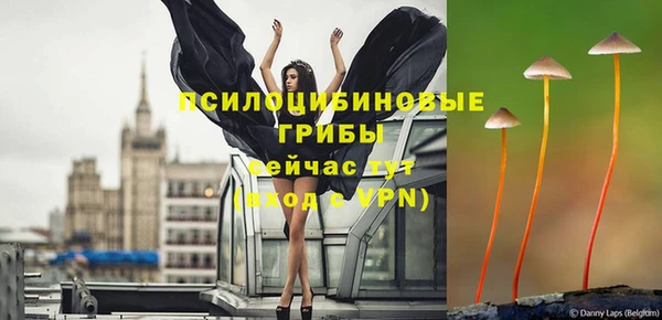 mix Козловка