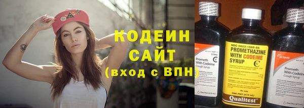 стаф Кодинск