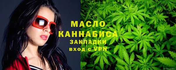 стаф Кодинск