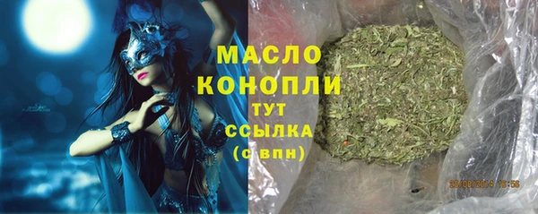 стаф Кодинск