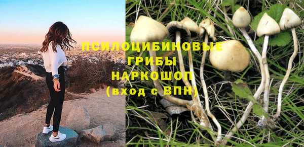 стаф Кодинск